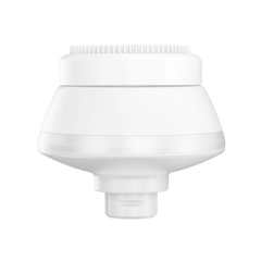 Silicon Scrubber